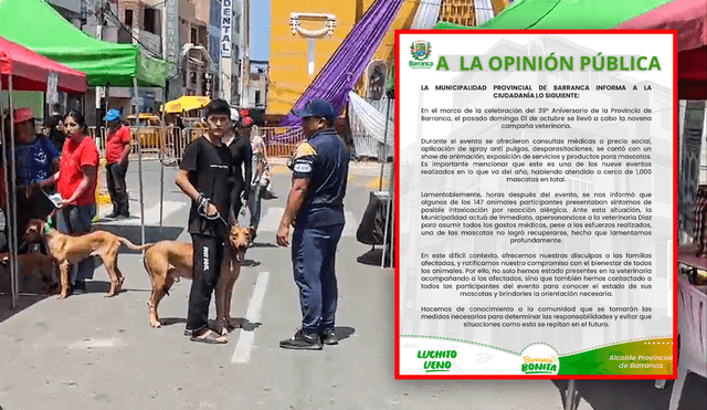 Municipalidad de Barranca se pronunció tras enterarse de intoxicación masiva de mascotas. Foto: composición Jazmin Ceras/La República/Municipalidad de Barranca