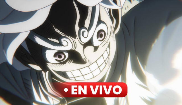 One piece anime: dónde ver todos los episodios en español y