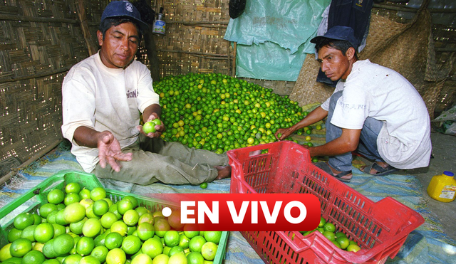 El precio del cítrico varía según la zona. Foto: Andina