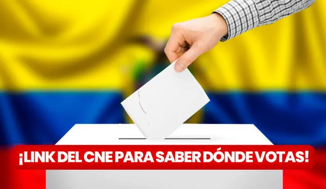 Descubre dónde votas y cómo realizar la capacitación si eres mienbro de la mesa electoral en esta segunda vuelta de Ecuador 2023. Foto: composición LR/Vecteezy/Freepik