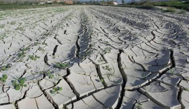 En la imagen, Campos de Orihuela afectados por la sequía. El sur de Europa se verá más afectado por la crisis climática. Foto: EFE