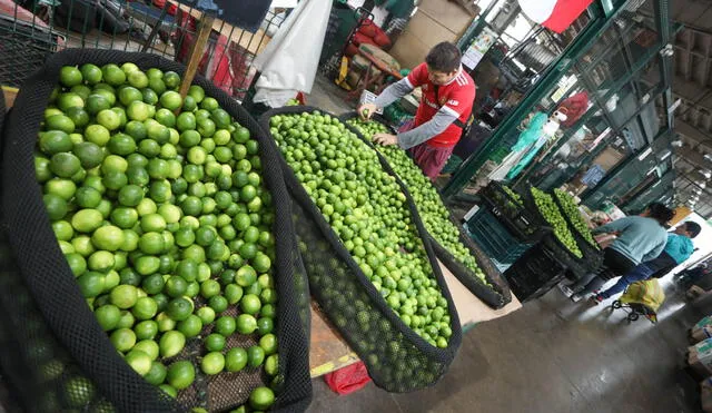 El limón en bolsa se vende a S/3,22 el kilogramo al por mayor. Foto: Andina