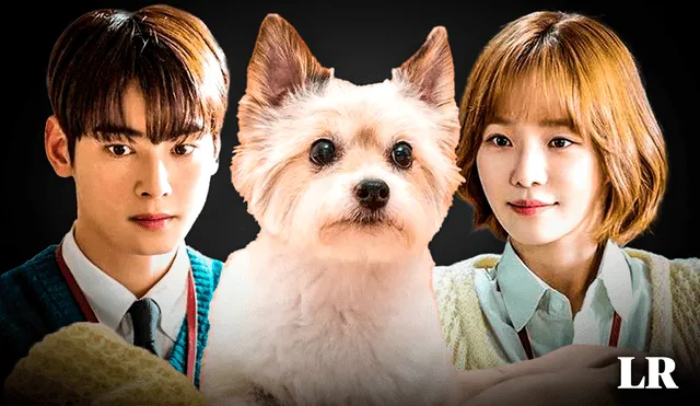 Comedia romántica 'A Good Day to Be a Dog' es protagonizada por Cha Eunwoo y Park Gyu Young. Foto: composición Gerson Cardoso / LR / MBC