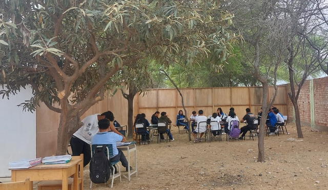Escolares de la I.E. Manuel Hidalgo Carnero reciben clases bajo la sombra de un árbol para evitar el calor. Foto: Maribel Mendo / URPI-LR