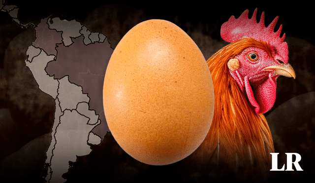 México espera un incremento del 2,9 % en producción de huevo en este 2023. Foto: composición LR