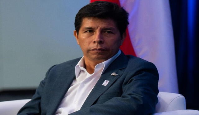 Pedro Castillo cuenta en misiva problemas de Perú. Foto: La República