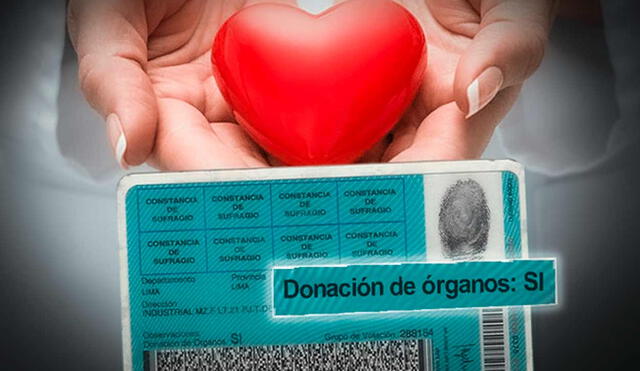 Ciudadanos que aceptan donar sus órganos ayudan a salvar otras vidas. Foto: composición LR