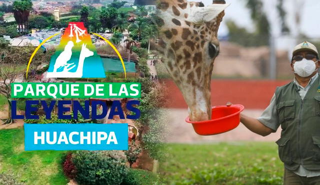 Conoce cuándo se inaugurará el nuevo Parque de las Leyendas, sede Huachipa, y cuánto costarán las entradas. Foto: composición LR/ YouTube/ El Popular