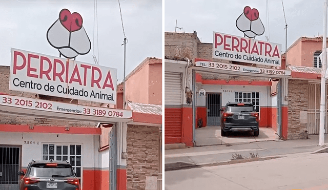 El singular nombre de la veterinaria sacó más de una sonrisa en redes sociales. Foto: composición LR/TikTok/@freemanletrado