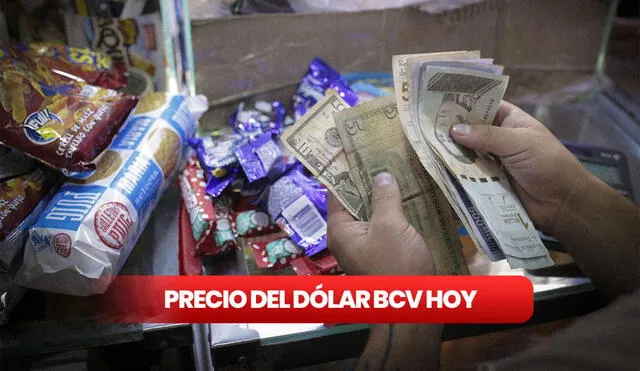 Precio del dólar BCV hoy, 25 de octubre de 2023, en Venezuela. Foto: composición LR