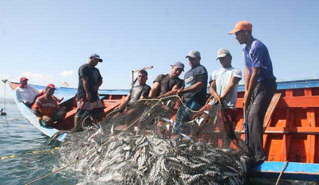 Sanipes es uno de los organismos adscritos a Produce para el cuidado de la hidrobiología. Foto: La República