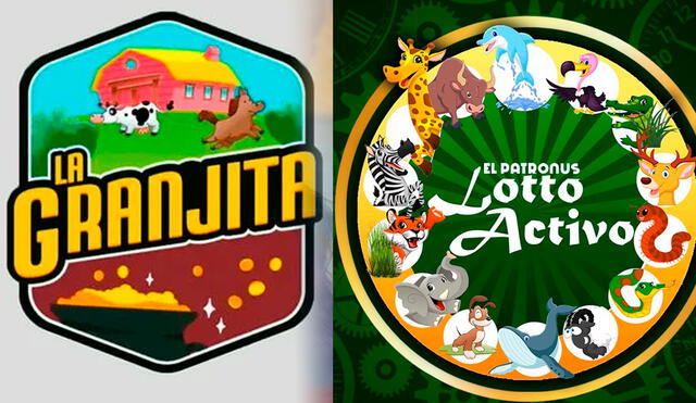 Lotería Lotto Activo y la Granjita de HOY, 26 de octubre de 2023, resultados de los Animalitos, Pirámide de Animalitos y datos explosivos. Foto: composición LR/ LotoVen/ RuletaActivaKJ