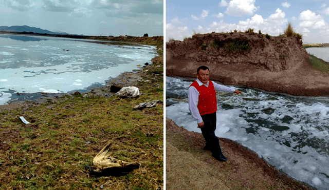 Aguas de río lucen contaminadas por vertimiento de aguas servidas. Foto: Liubomir Fernandez LR