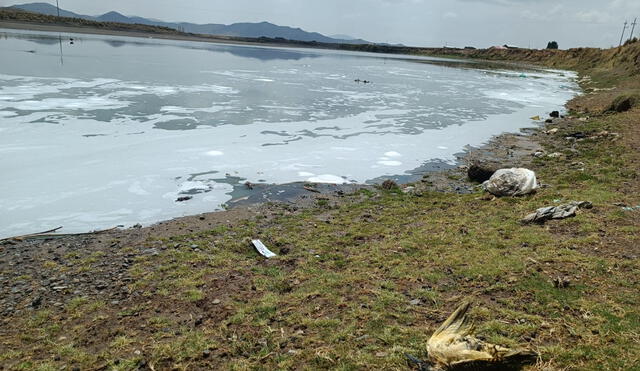 Aguas negras se vierten sin ningún tipo de tratamiento. Plantas de tratamiento resolverán el problema. Foto: La República