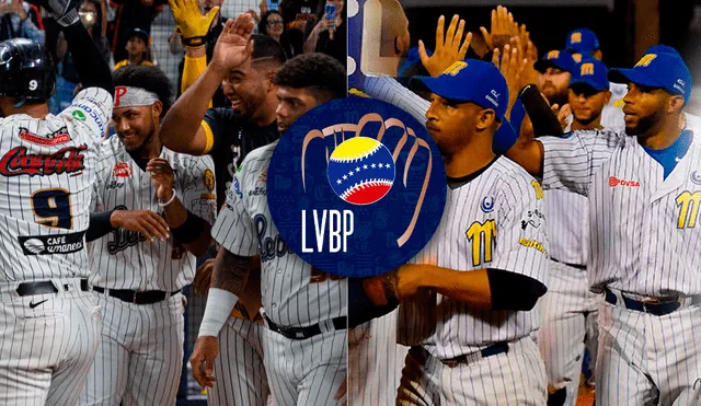 Navegantes y Leones forman una de las más grandes rivalidades del béisbol venezolano. Foto: composición LR/Leones del Caracas/X/LVBP_Oficial/X/Magallanes/X