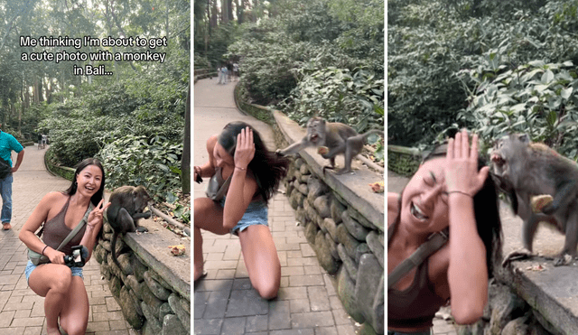 Usuarios cuestionaron que la joven se haya acercado mientras el mono comía. Foto: composición LR/ TikTok/@martinaliang