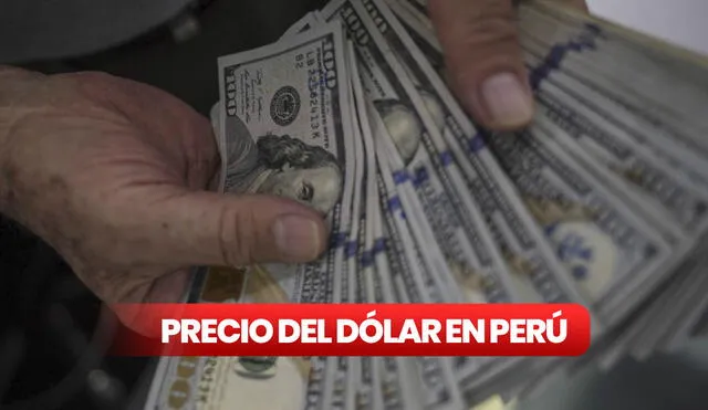 Verifica el precio del dólar hoy, martes 31 de octubre, en los bancos peruanos y en el mercado paralelo. Foto: Carlos Contreras/ La República