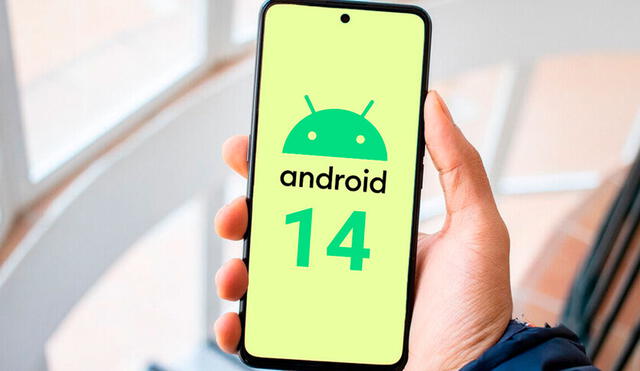 Android 14 tiene menos de 1% de usuarios. Foto: Mundo Xiaomi