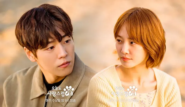 Lee Bo Kyum intentará acercarse a Hae Na en el capítulo 4 de 'A Good Day to Be a Dog'. Foto: composición LR/MBC Drama