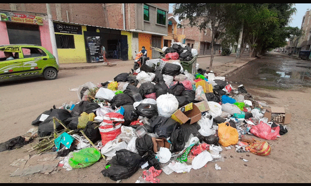 Todavía no se tiene indicios de quién podría haber abandonado el feto. Foto: difusión