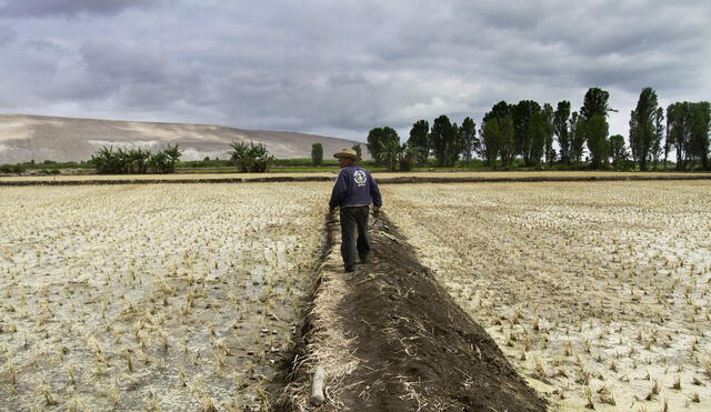 Emergencia busca que se reduzcan riesgos alto ante posible falta del recurso hídrico en regiones. Regiones de Arequipa, Cusco, Puno, Tacna, Moquegua y Apurímac serán afectadas. Foto: La República