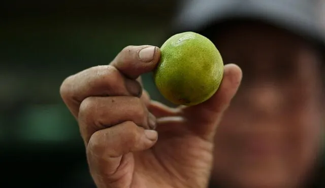 En octubre, la inflación consolidó 28 meses por encima del rango meta, según datos de INEI. Foto: La República