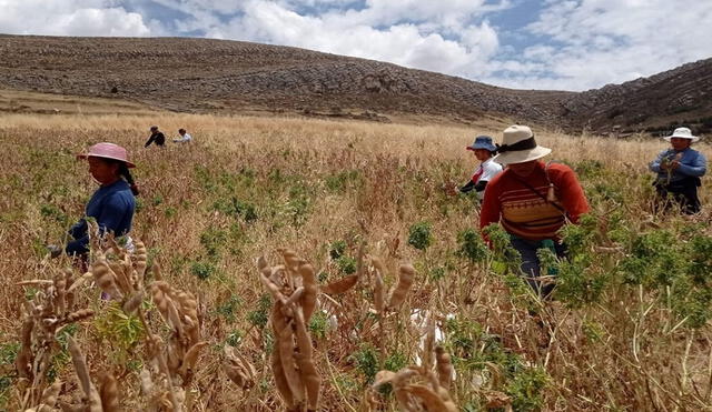 Déficit hídrico pone en riesgo a 6 regiones. Foto: La República