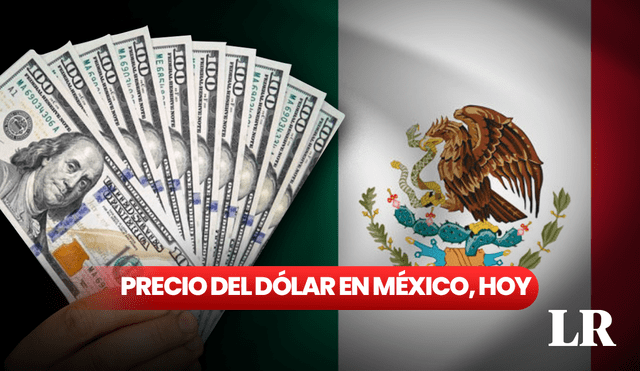 Precio del dólar en México para hoy, sábado 4 de noviembre. Foto: composición LR/AFP/Freepik