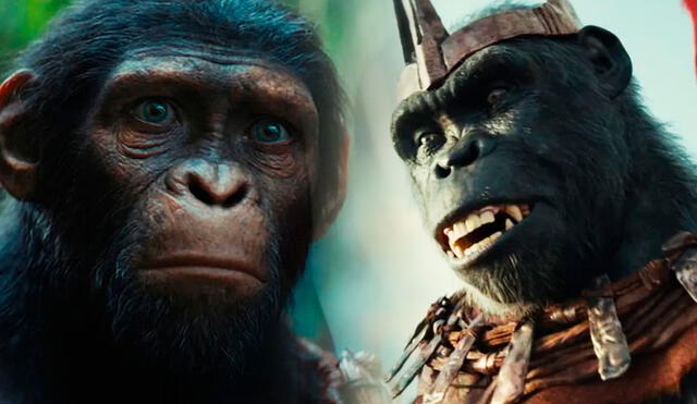 'Kingdom of the Planet of the Apes', o 'El planeta de los simios: nuevo reino', retomará la historia de la saga tras la muerte de César. Foto: composición LR / 20th Century Studios