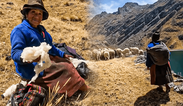 Mujer vive a 4.000 metros de altura y su pasatiempo es hilar lana de oveja. Foto: composición de Jazmin Ceras/LR/Ederson Estaylin/YouTube