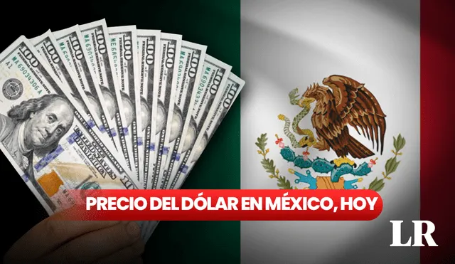 Precio del dólar en México para hoy, miércoles 8 de noviembre. Foto: composición LR/AFP/Freepik