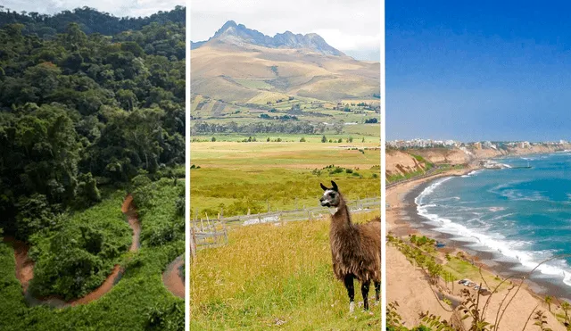 Este departamento de Perú posee características de las 3 regiones naturales: costa, sierra y selva. Foto: composición LR/redBus
