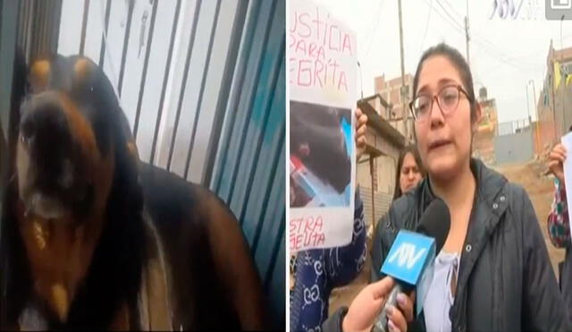 Vecinos de la zona piden apoyo para Negrita. Foto: captura / ATV Noticias