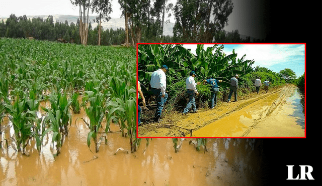 Lluvias afectarán directamente a los agricultores de Piura. Foto: La República