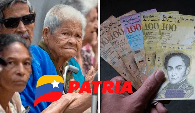 El pago de la pensión de Amor Mayor es de 130 bolívares para este mes. Foto: composiciónLR/El Pitazo/Semana/Patria