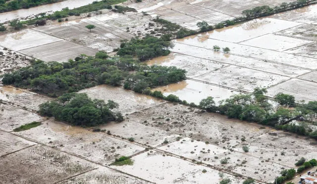El shock causado por el fenómeno El Niño y el ciclón Yaku ascendió a un perjuicio de S/4.200 millones. Foto: Andina