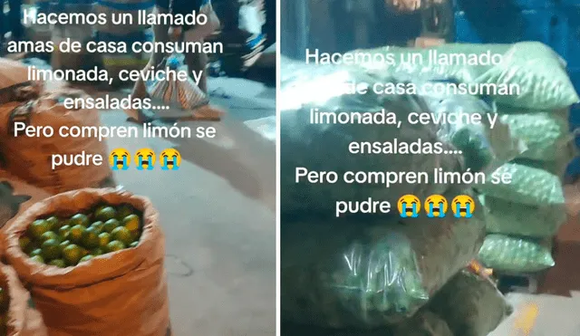 Usuarios quedaron asombrados con el video. Foto: composición LR/TikTok/@joslion477