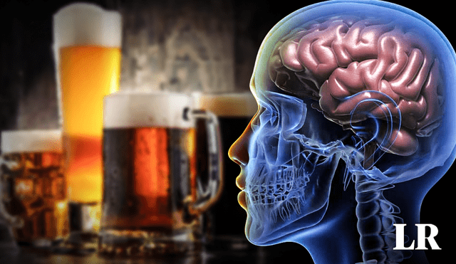 El alcohol tiene efectos en áreas del cerebro que controlan la memoria y el juicio. Foto: composición LR