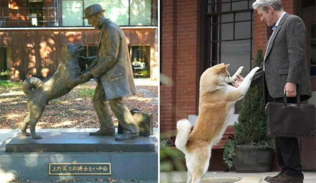 Hachiko nació el 10 de noviembre de 1923 y murió el 8 de marzo de 1935 en Japón. Foto: Central Hachiko nació el 10 de noviembre de 1923 y murió el 8 de marzo de 1935 en Japón. Foto: Central