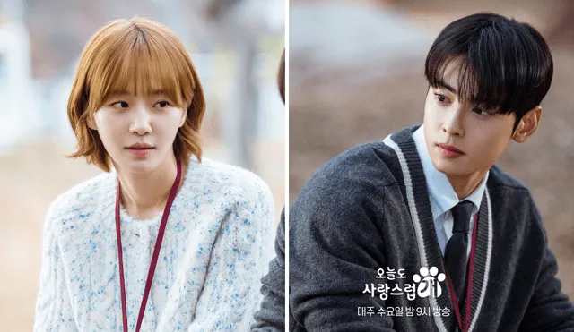Park Kyu Young y Cha Eunwoo son los protagonistas principales de 'A Good Day to be a Dog'. Foto: Composición LR/MBC Drama