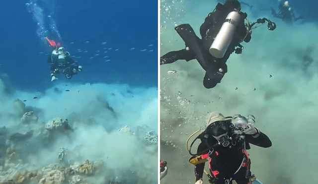 Grupo de buceadores registró los primeros segundo en que inició un terremoto bajo el mar de Indonesia. Foto: composición LR/captura TikTok/@brucediving