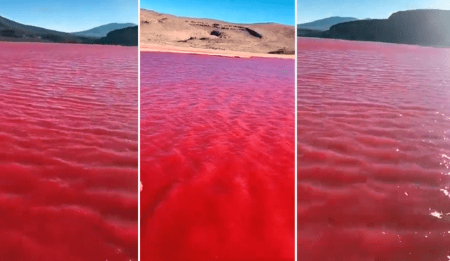 El peculiar color del río Nilo abrió un gran debate en redes sociales. Foto: composición LR/captura de ‘X’/¿Por qué es tendencia?