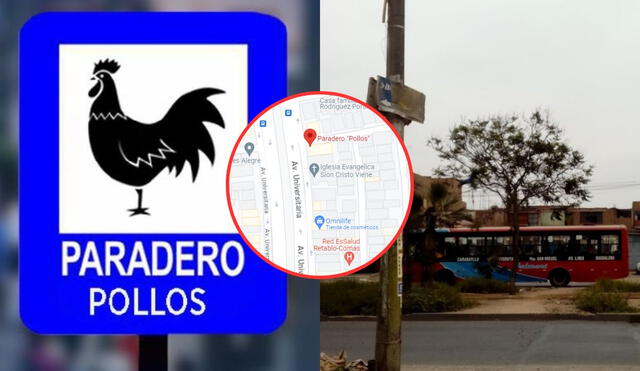 Conoce por qué motivo se le conoce como paradero Pollos a este popular punto de Comas. Foto: composición LR/Líbero/Google Maps