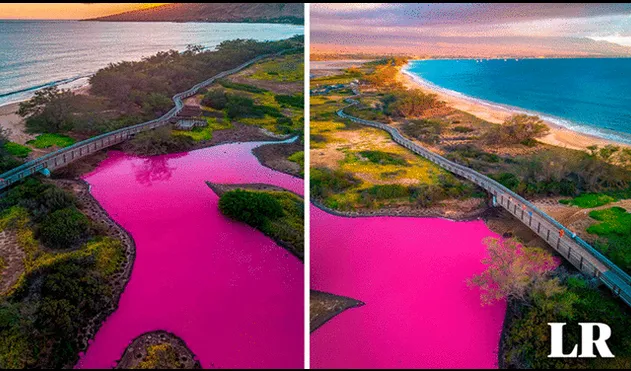 El raro fenómeno ha causado la visita de más personas al Refugio Nacional de Vida Silvestre Kealia Pond en Maui. Foto: composición LR/referencial