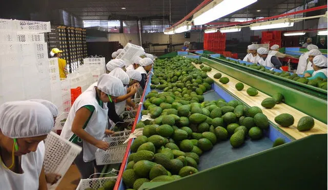 Si bien la crisis económica afecta a hombres y mujeres, estas últimas son más afectadas por el desempleo. Foto: La República