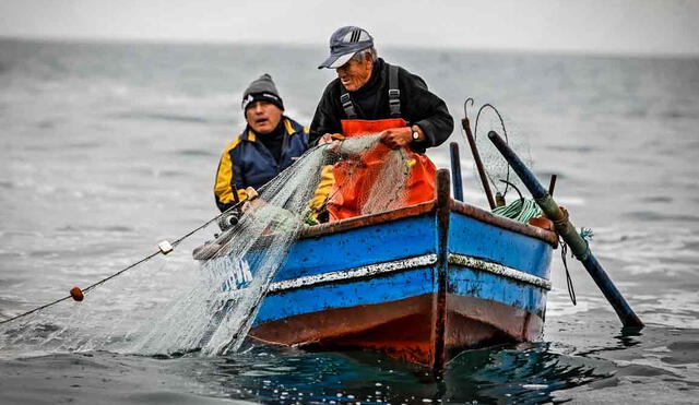 Demora en la publicación del reglamento de la  Ley de Pesca Ancestral y Artesanal "perjudica" a los pescadores artesanales, dijo el demandante Henry Palma García. Foto: Ministerio de la Producción