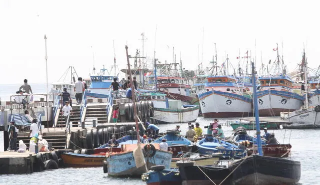 Sector pesquero solicita ayuda al Ejecutivo antes de que el periodo lluvioso continúe. Foto: La República