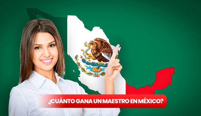 El salario de un docente puede depender de muchos factores en México. Foto: composición LR/Pixabay