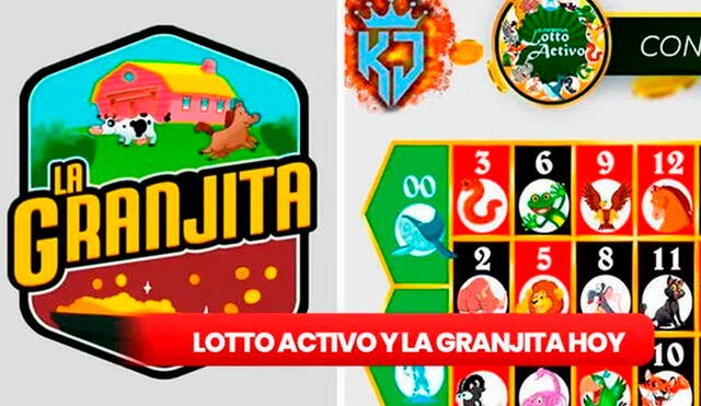 Lotería Lotto Activo y la Granjita de HOY, 22 de noviembre de 2023, resultados de los Animalitos, Pirámide de Animalitos y datos explosivos. Foto: composición LR/ LotoVen/ RuletaActivaKJ