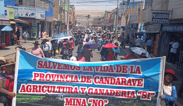 Ciudadanos de provincia tacneña piden que mina Southern utilice agua de mar. Foto: Liz Ferrer/La República